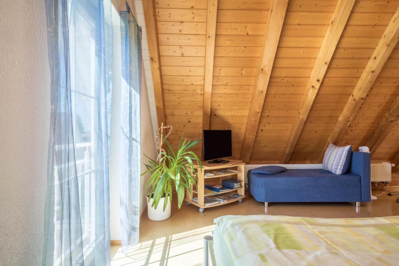 Haus Sonnenschein Appartement Eriskirch Buitenkant foto
